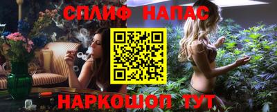a pvp Славгород