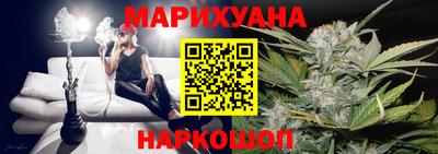 a pvp Славгород
