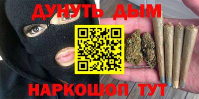 a pvp Славгород