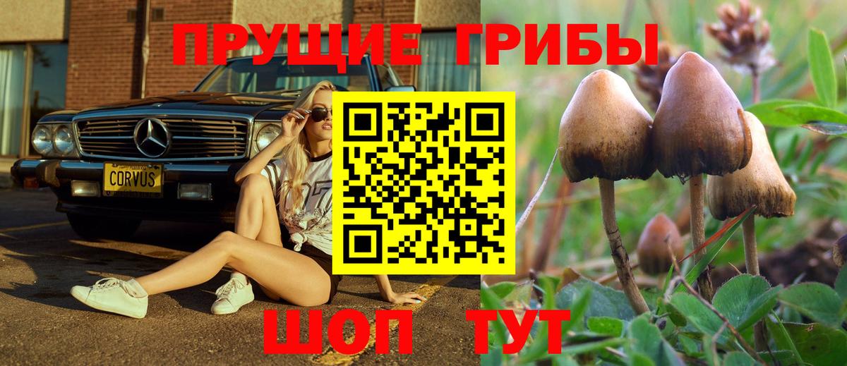Галлюциногенные грибы мухоморы  Галлюциногенные грибы Psilocybine cubensis  Вход с VPN  Прохладный 