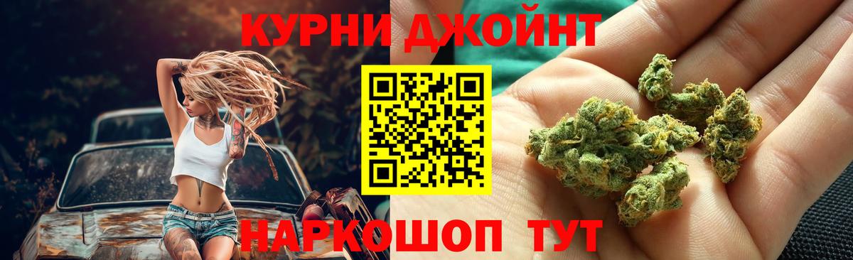 Бошки Шишки план  МАРИХУАНА тримм  Вход с VPN  Прохладный  Каннабис гибрид 