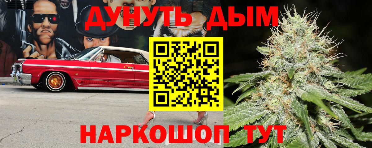 Шишки марихуана OG Kush Прохладный